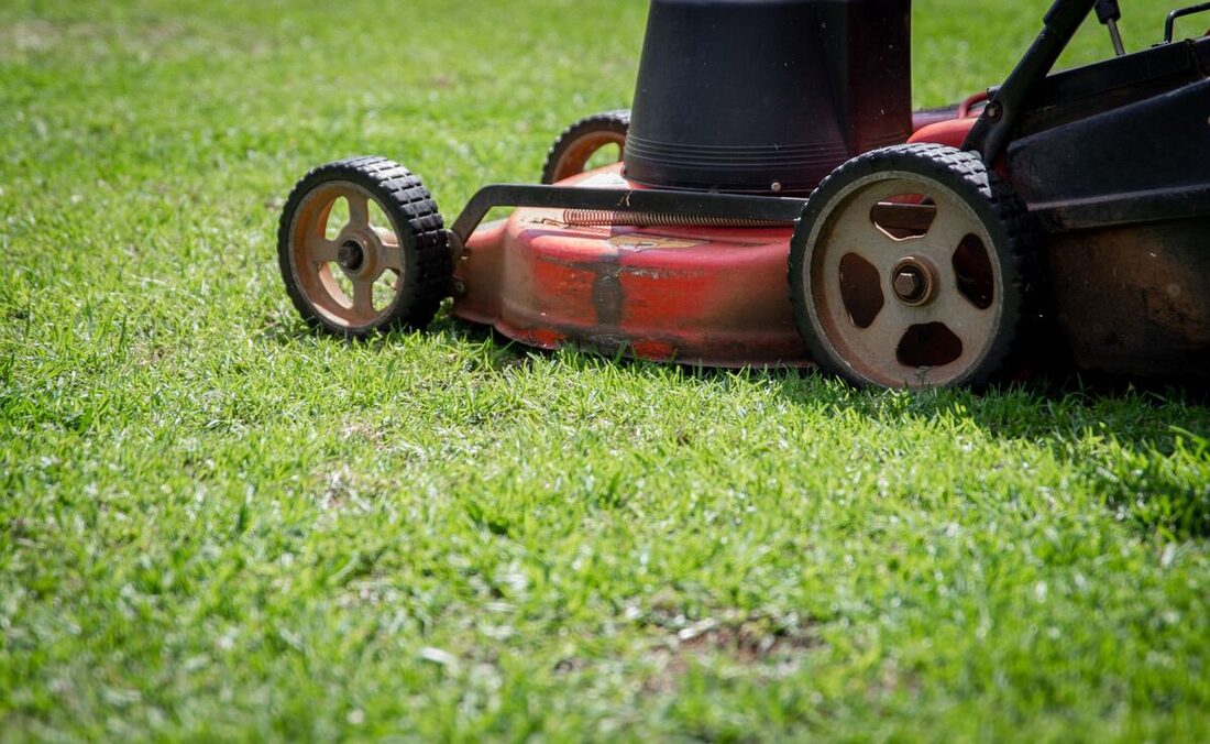 Mower cutting a lawn at sunset