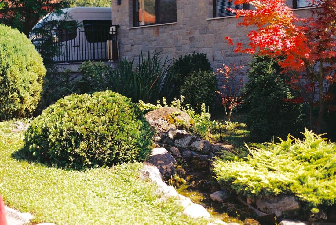 Manicured garden with shrubs and a stone water feature